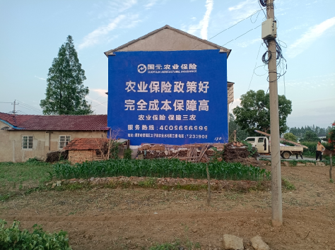 剑阁墙体广告为何受追捧？