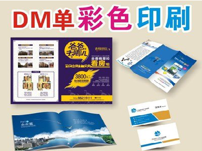 剑阁单页印刷，色彩搭配简单。